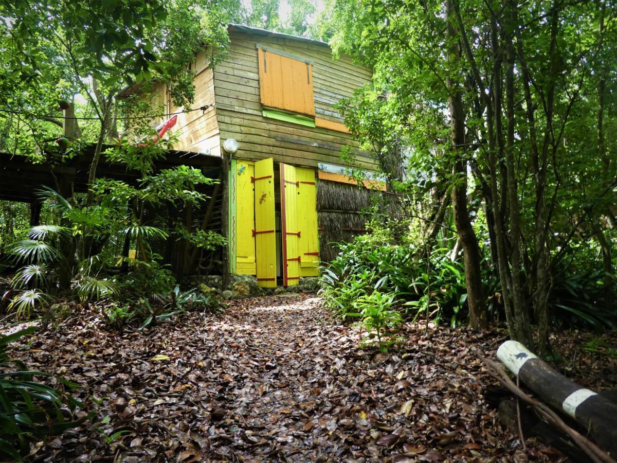 Villa Esprit Caraibe Saint-Francois  Exterior foto